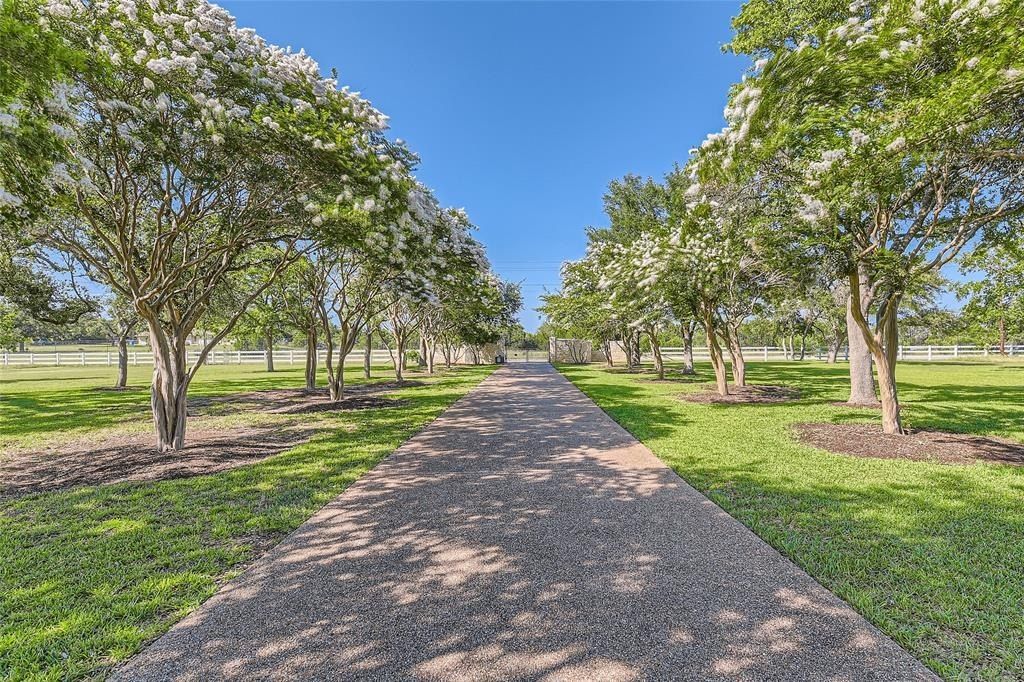 Tranquil sanctuary near vibrant austin texas estate listing for 4. 993 million 32