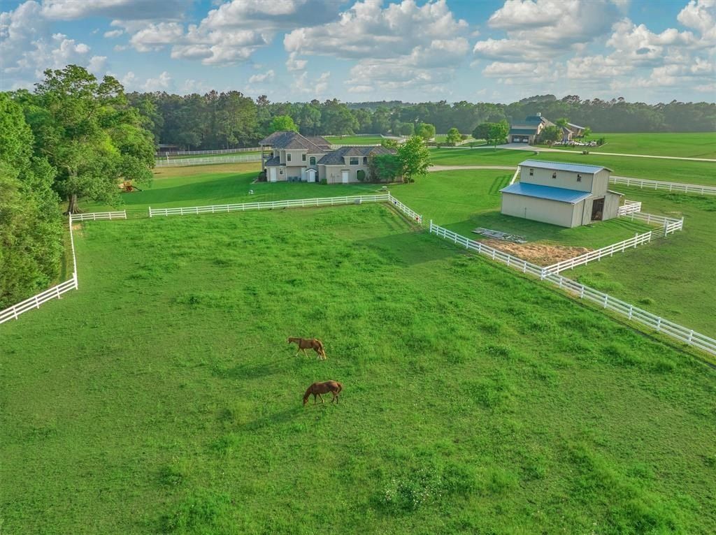 Dream equestrian property the ultimate blend of comfort and luxury in montgomery texas for 1. 349 million 50