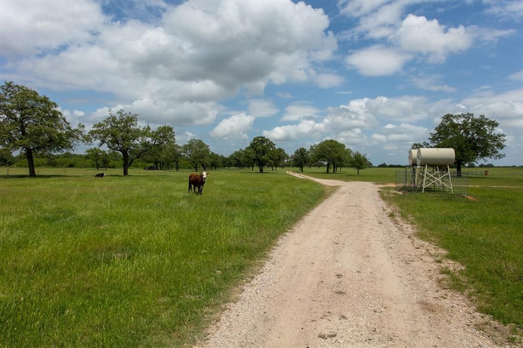 Gorgeous custom home with 175 acres and pond in smithville for 6. 4 million 46