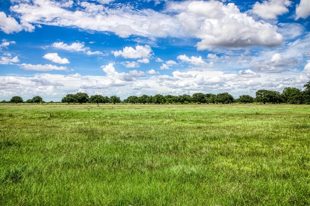 Rio viejo ranch in bay city a versatile property for recreation and agriculture listed at 14. 95 million 23