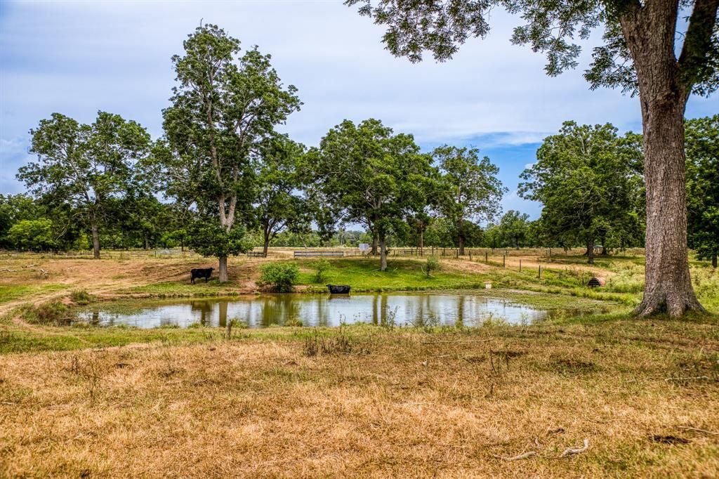 Rio viejo ranch in bay city a versatile property for recreation and agriculture listed at 14. 95 million 24
