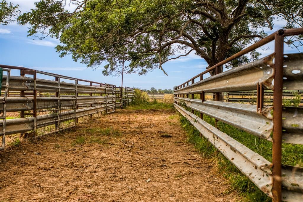 Rio viejo ranch in bay city a versatile property for recreation and agriculture listed at 14. 95 million 25