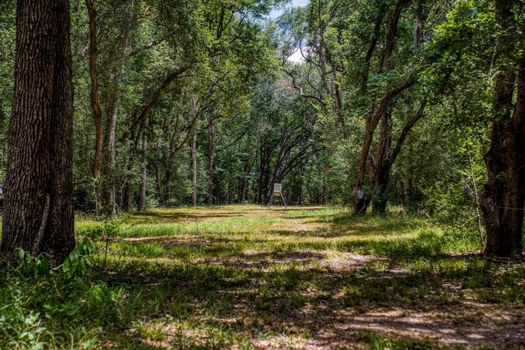 Rio viejo ranch in bay city a versatile property for recreation and agriculture listed at 14. 95 million 46