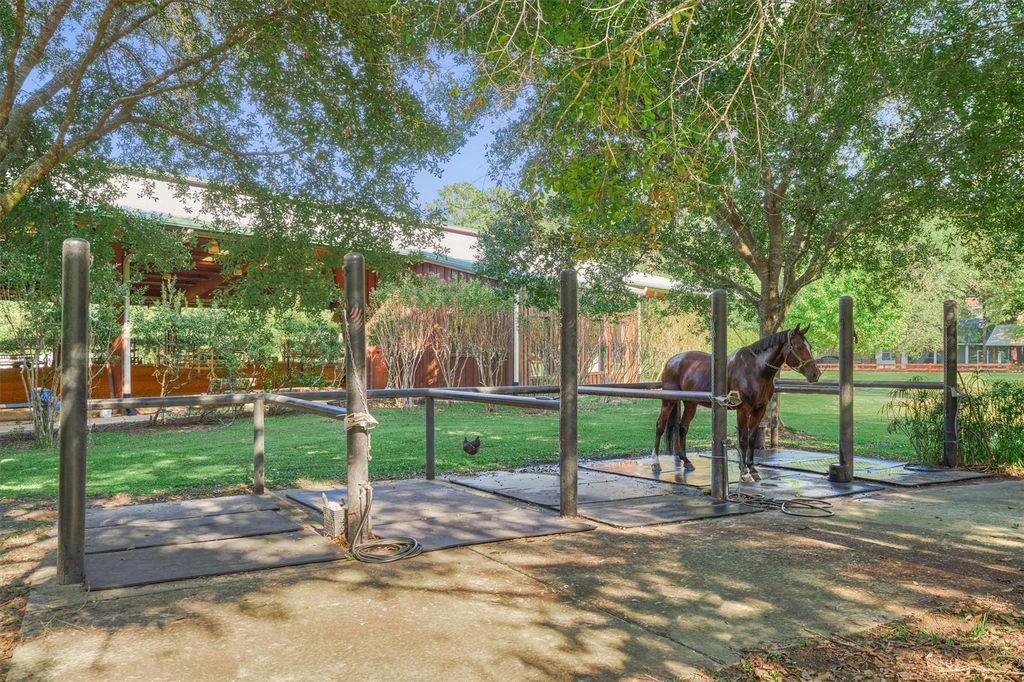 Internationally renowned horse trainer offers exclusive timber ridge farms for 6 million 16