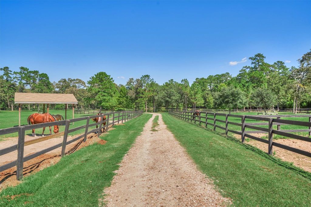 Internationally renowned horse trainer offers exclusive timber ridge farms for 6 million 8