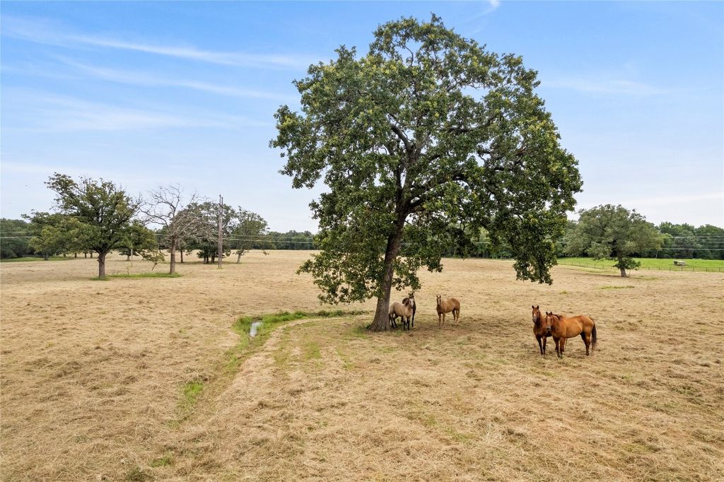 Krb ranch where luxury meets nature in east texas asks for 20 million 15