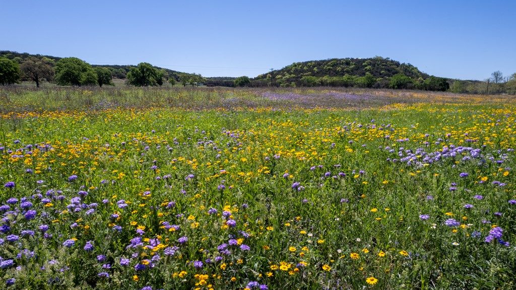 Discover the ultimate texas ranch lifestyle on this impressive 124 acre property priced at 5995000 41