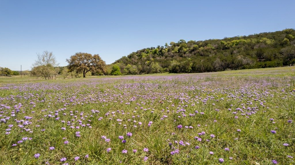 Discover the ultimate texas ranch lifestyle on this impressive 124 acre property priced at 5995000 48