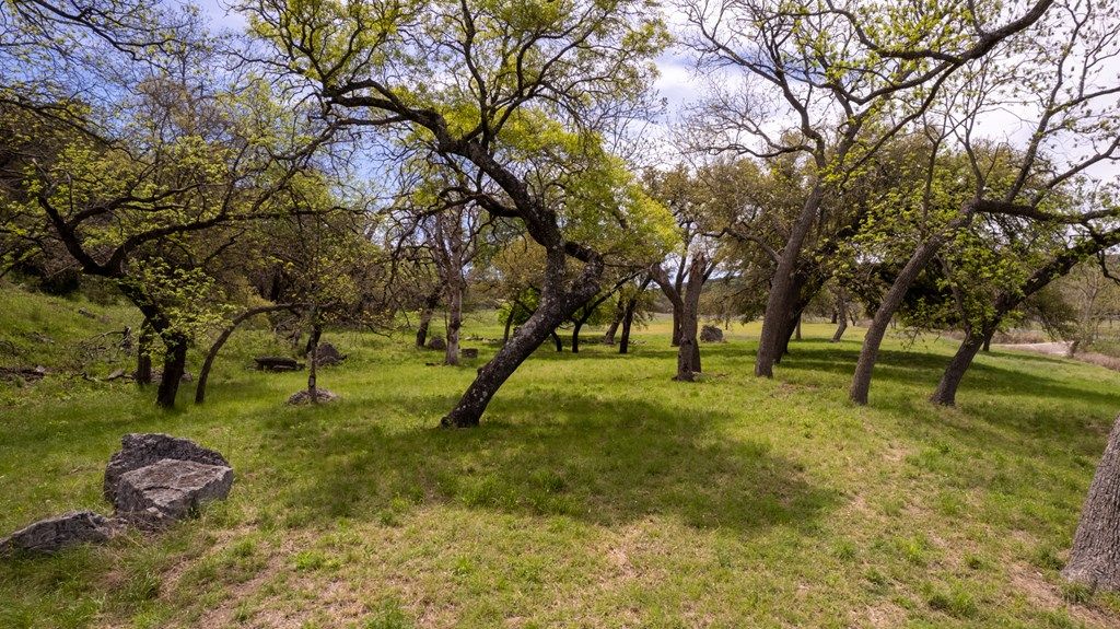 Discover the ultimate texas ranch lifestyle on this impressive 124 acre property priced at 5995000 49