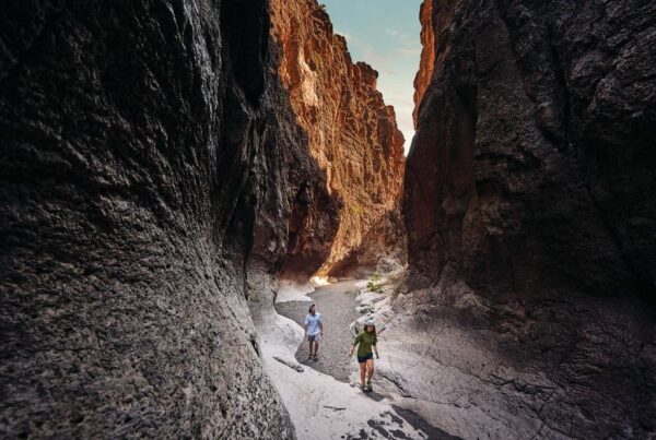 Top Outdoor Activities in Big Bend: Hiking, Camping, and River Rafting