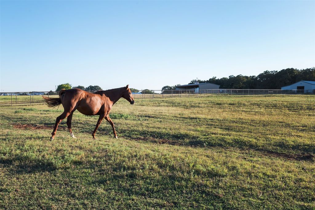 A true santa fe masterpiece buena vista ranch on 86 acres listed at 5495000 40