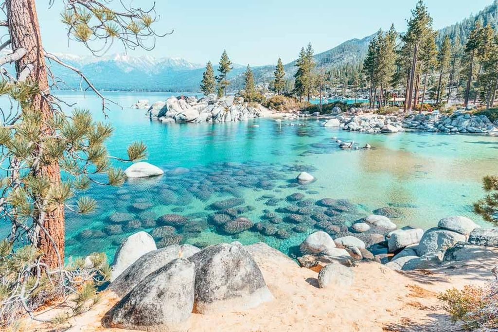 Beach cove and clear water lake tahoe in the summer result