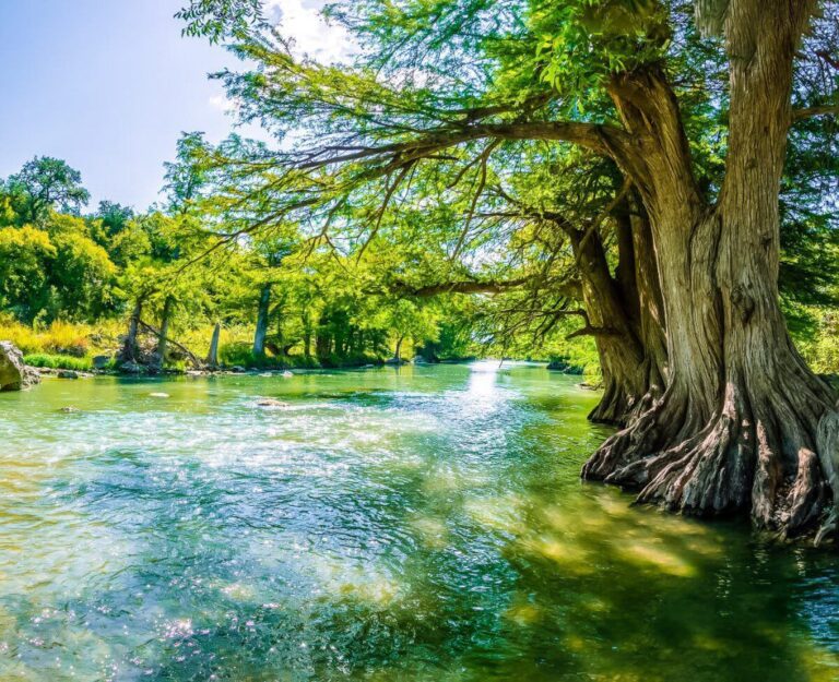 Natural Springs in Hill Country: A Comprehensive Guide to Swimming and Relaxation