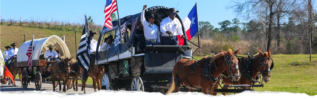 Houston rodeo a festival for texas cowboy culture lovers 1