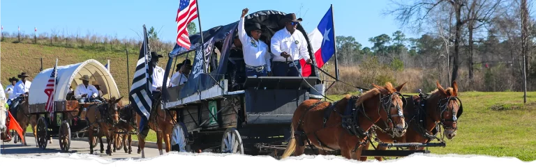 Houston Rodeo: A Festival for Texas Cowboy Culture Lovers