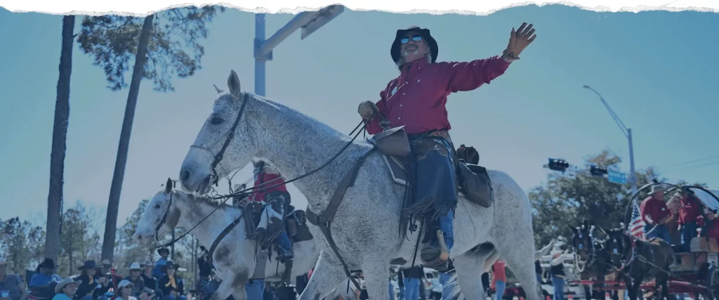 Houston rodeo a festival for texas cowboy culture lovers 2