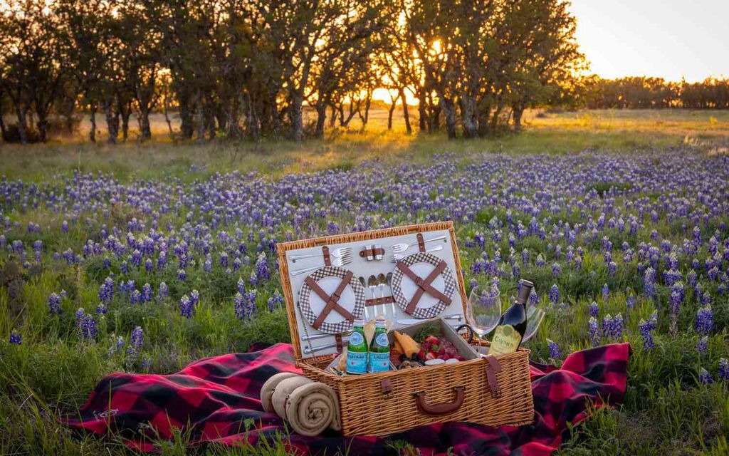 Bluebonnet picnic jl bar ranch resort jltexblu0320 1ccc7c5c96f84c309568d17187ea0e0c compressed result