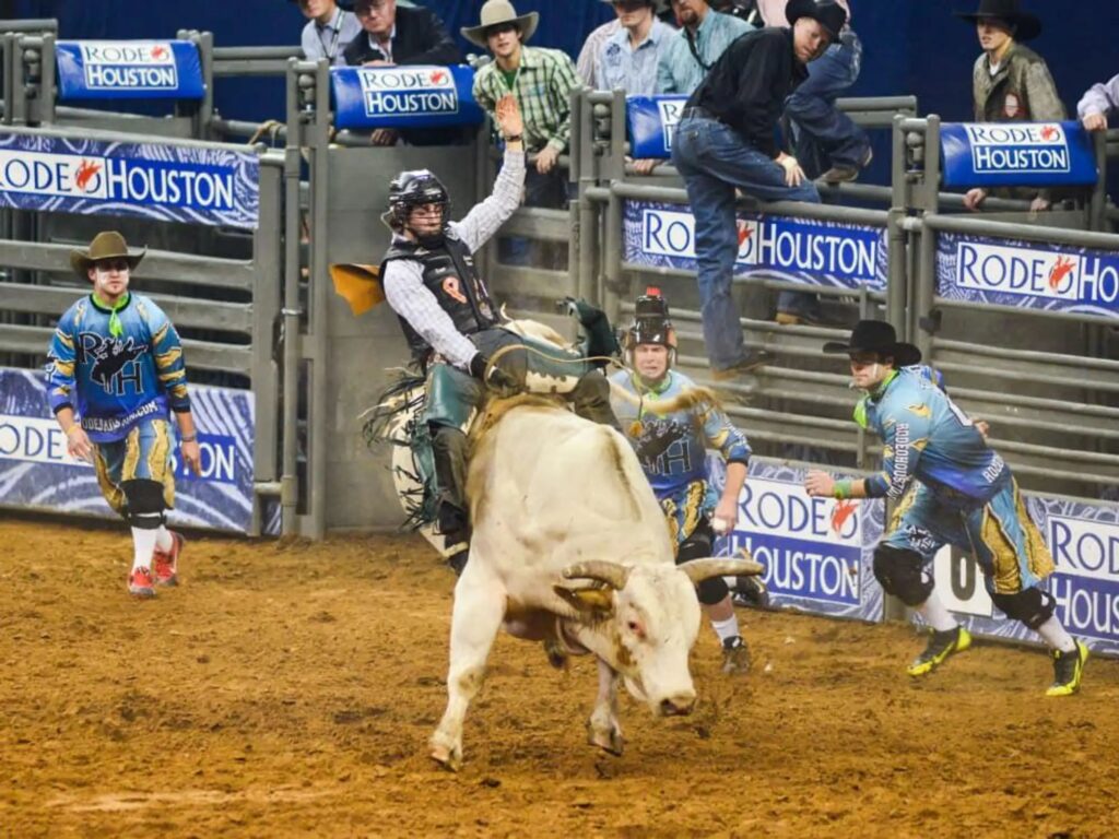 Houston livestock show and rodeo result compressed