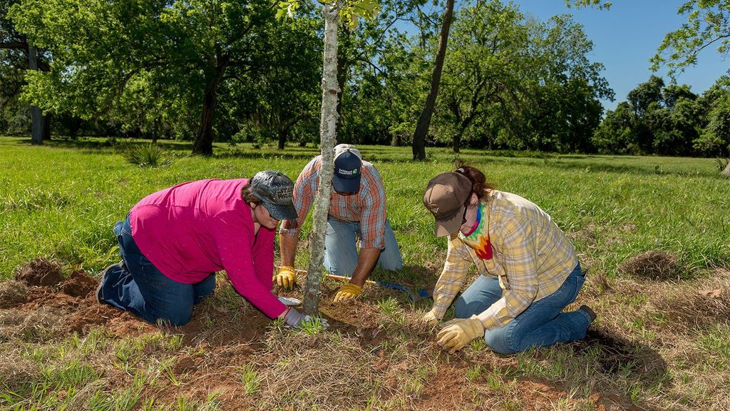 Supporting conservation projects in texas and arkansas compressed result