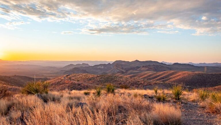 Texas Environmental Activism: Key Figures and Their Contributions