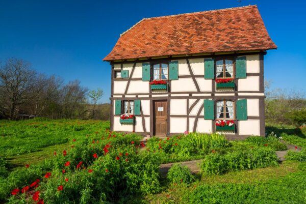 Texas’s Oldest Homes: Preserving Heritage Through Historic Residences