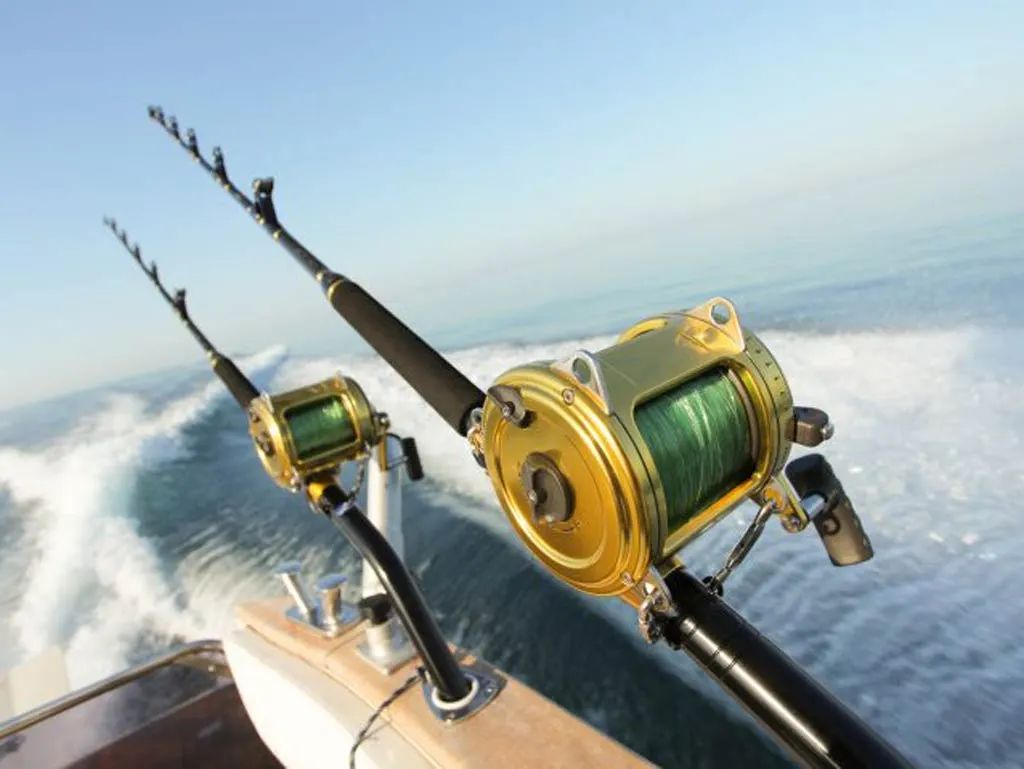 Multi day fishing trips in the gulf of mexico rods and reels result