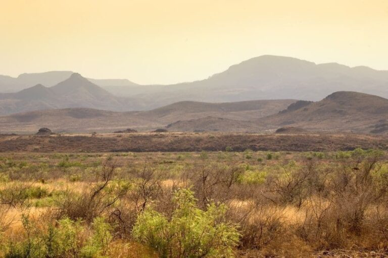 Conservation Challenges in Texas’s Desert and Plain Regions