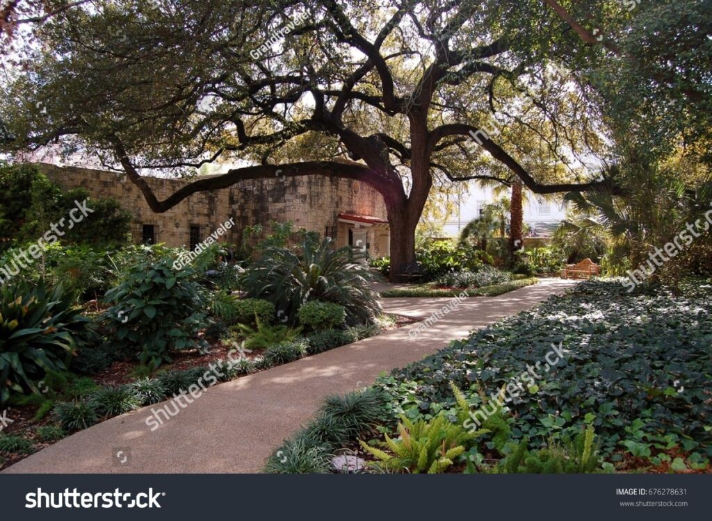 Stock photo scenes from the gardens surrounding the alamo in san antonio texas in winter 676278631 result