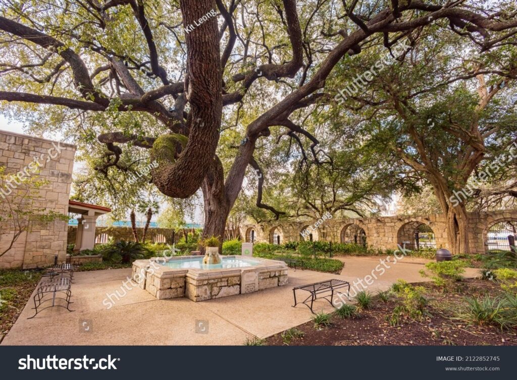 Stock photo sunny view of the alamo at texas 2122852745 result