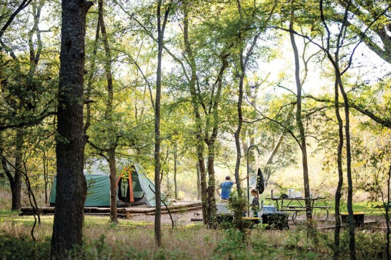 The Allure of Lakefront Camping in Texas: A Comprehensive Guide for Beginners