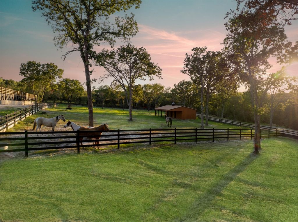 A taste of tuscany extraordinary 3. 395m horse property in exclusive texas community 4