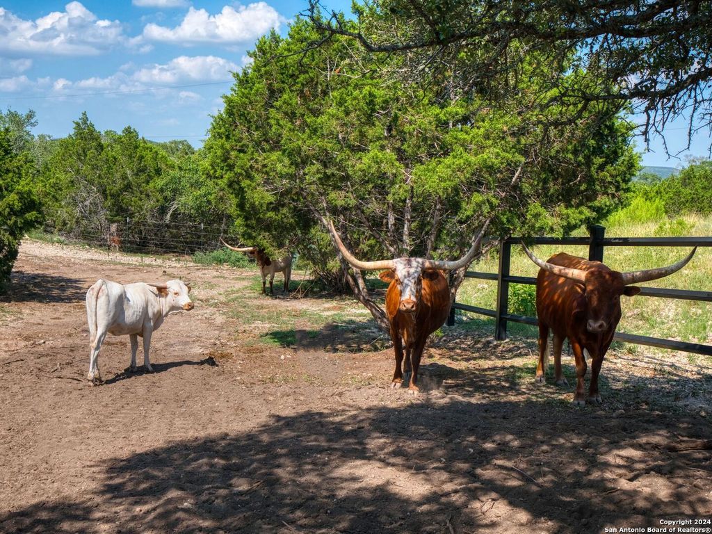 Scenic splendor expansive property with rolling hills and views for 4. 75 million 45