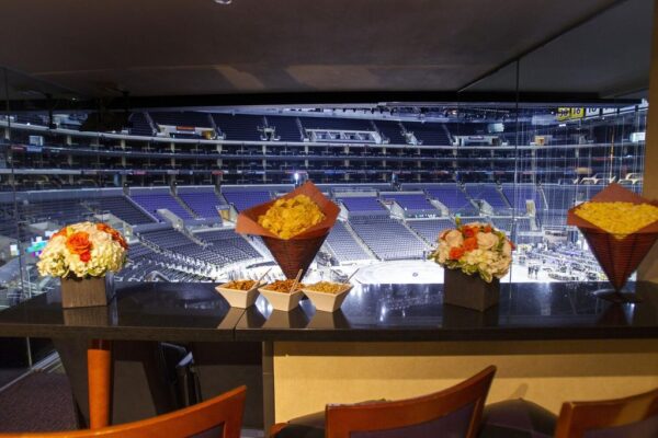 The Dallas Cowboys VIP Experience: From Luxury Suites to Field Access